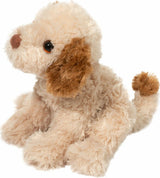 Biscuit Cavapoo