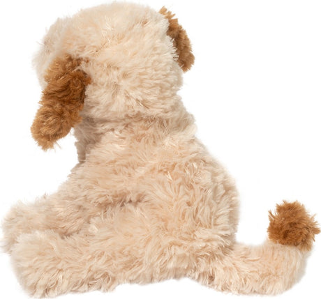 Biscuit Cavapoo