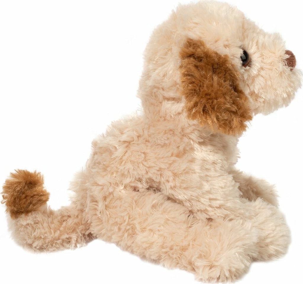 Biscuit Cavapoo