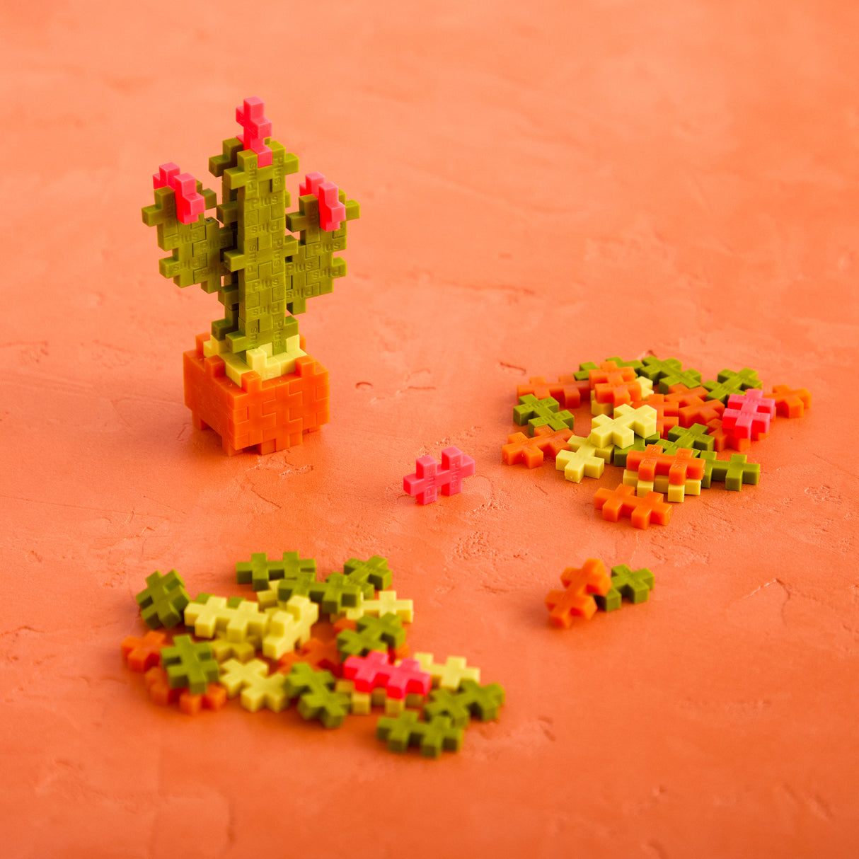 Plant Pack - Calm Cactus
