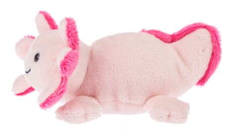 Lil Axton Axolotl