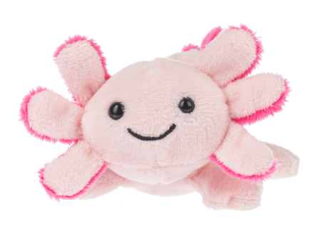 Lil Axton Axolotl