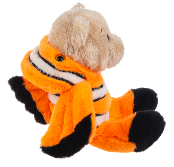 Wee Bear Clown Fish