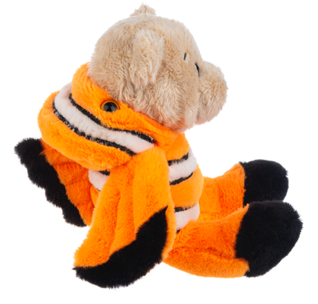 Wee Bear Clown Fish