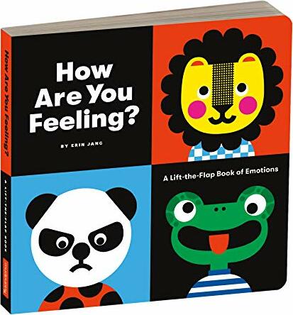 How Are You Feeling Board Book