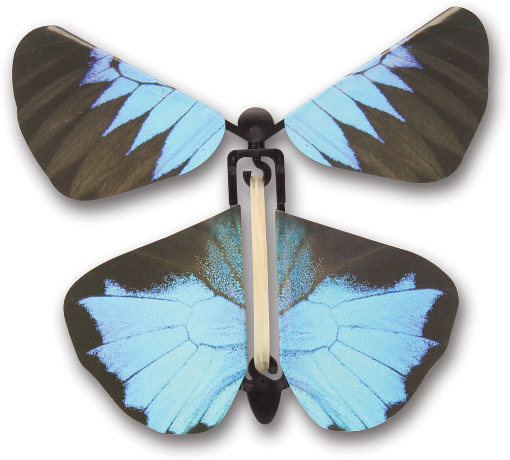 Wind up Australian Butterflies