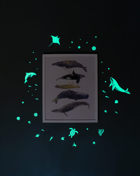 GLOPLAY (Sea Animals)