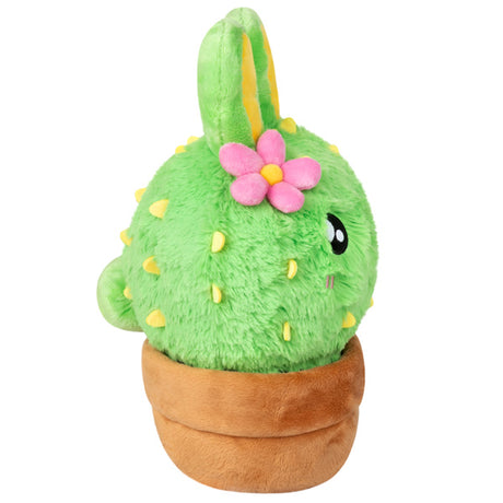 Mini Bunny Cactus