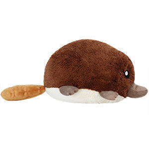 Mini Baby Platypus