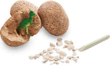 Dig It Up!: Dinosaur Eggs