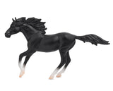 Breyer Poetry in Motion Gift Set