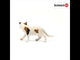 Schleich American Shorthair Cat
