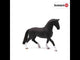 Schleich Hannoverian Mare, Black