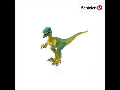 Schleich Velociraptor