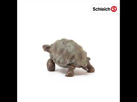 Schleich Giant Tortoise
