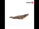 Schleich Crocodile