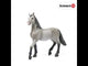 Schleich Pura Raza Espanola Young Horse