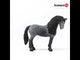 Schleich Pura Raza Espanola Mare