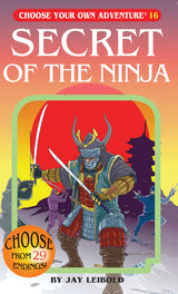 Secret Of The Ninja