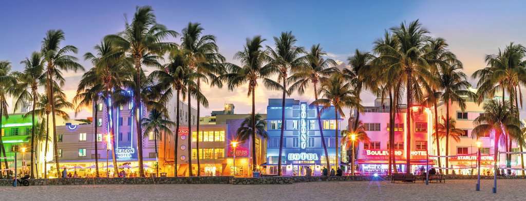 Night Glow on Ocean Drive Panoramic 1000 Pc Puzzle