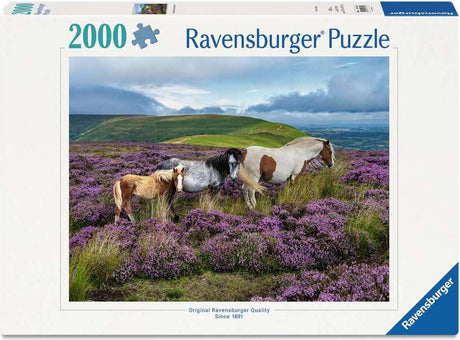 Wild Horses in the Heather 2000 Pc