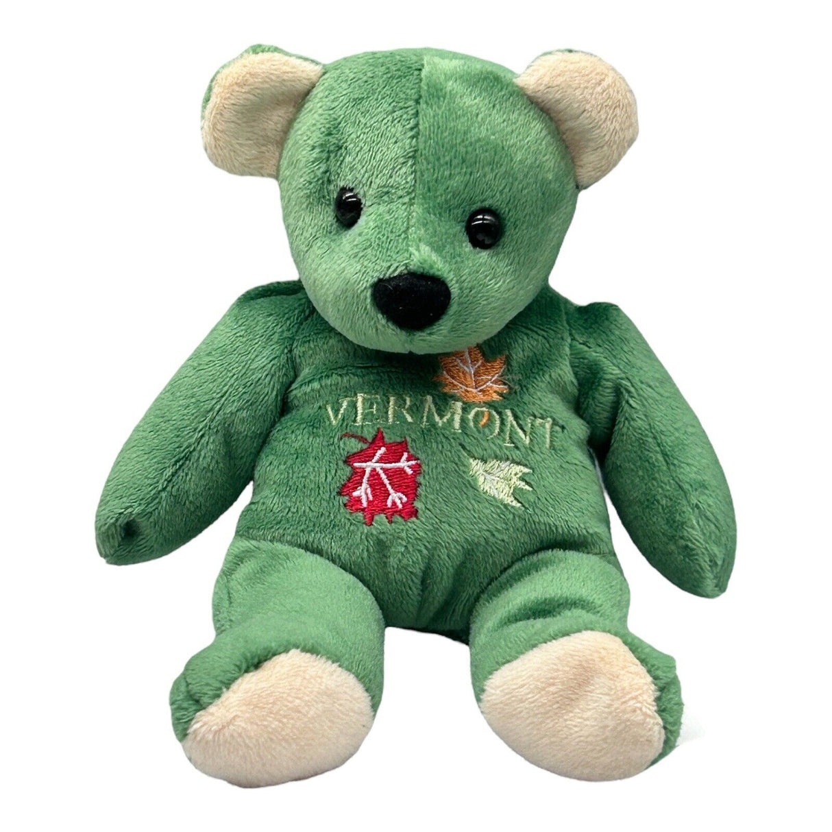 Vermont Bear