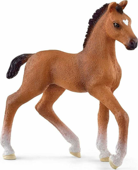 Oldenburger Foal