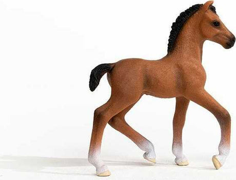 Oldenburger Foal
