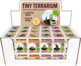 Tiny Terrarium Cactus (assorted)