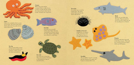 Barefoot Baby-Proof: Secret Seahorse