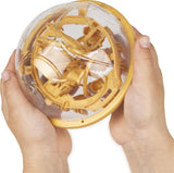 Harry Potter Perplexus Go