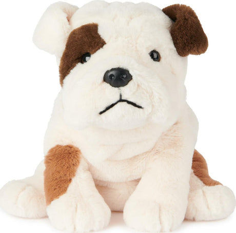 Toast Bulldog - 10 In