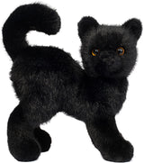 Scaredy Black Cat