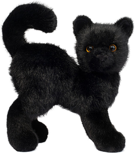 Scaredy Black Cat