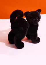 Scaredy Black Cat
