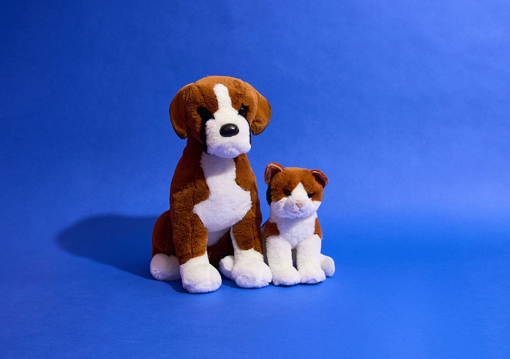 Patches Calico Cat