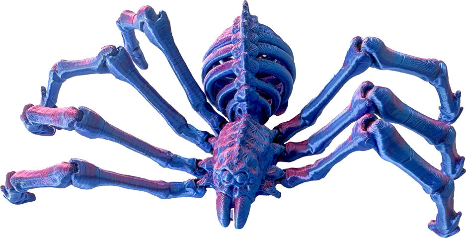 Twiddle Spider