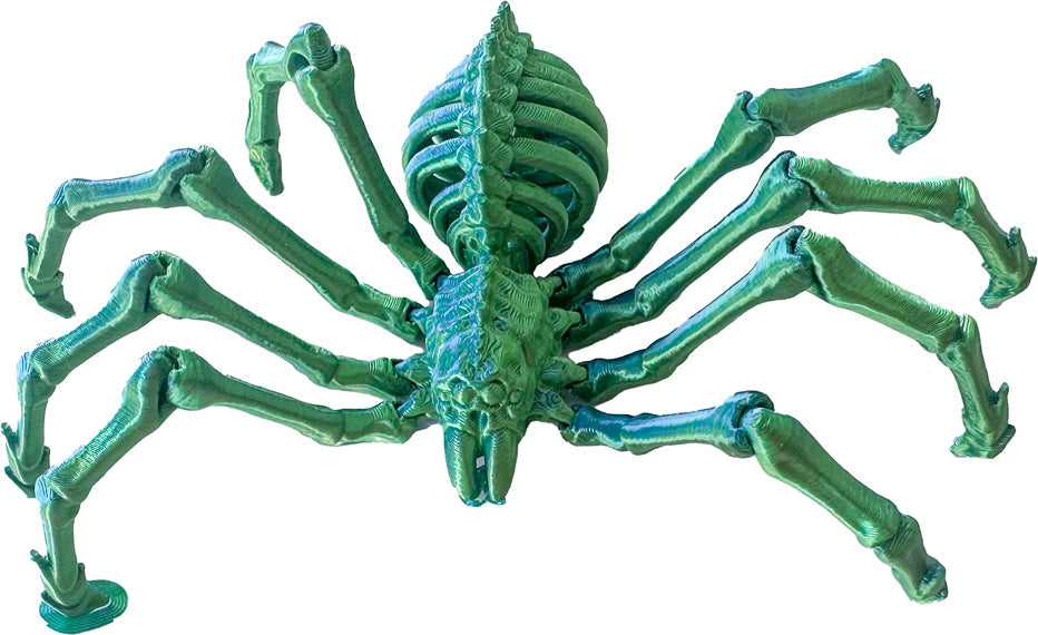 Twiddle Spider