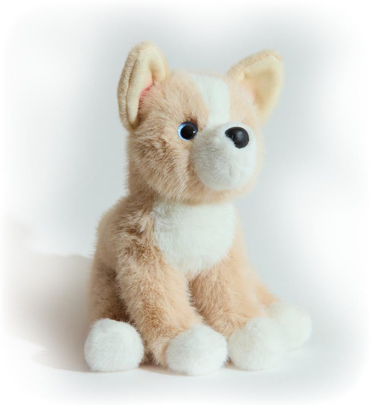 Pookie Pomsky Soft
