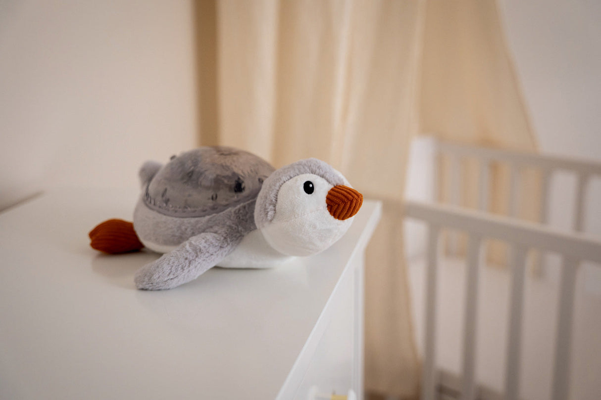 Cloud b Tranquil Penguin