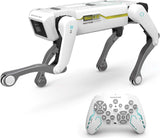 A.I D.O.G The Pet of Tomorrow