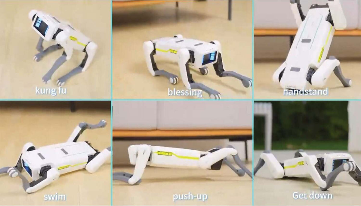 A.I D.O.G The Pet of Tomorrow