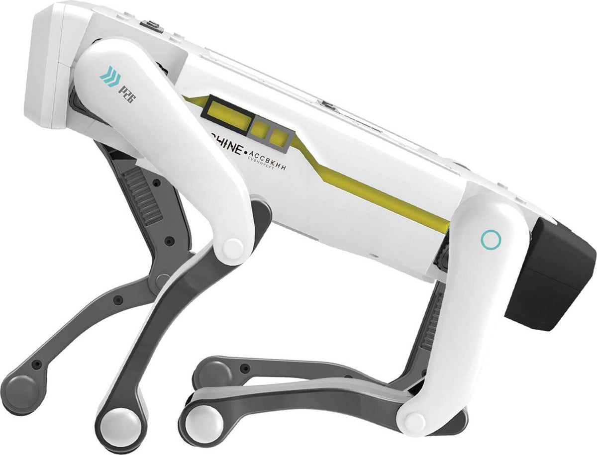 A.I D.O.G The Pet of Tomorrow