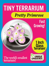 Tiny Terrarium Flowers