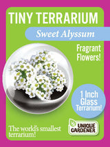 Tiny Terrarium Flowers