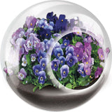Tiny Terrarium Flowers