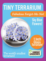 Tiny Terrarium Flowers