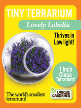Tiny Terrarium Flowers