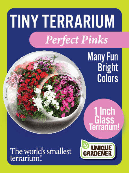 Tiny Terrarium Flowers