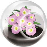 Tiny Terrarium Flowers